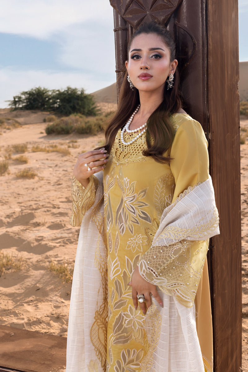 Rang Rasiya Premium Summer Collection '26