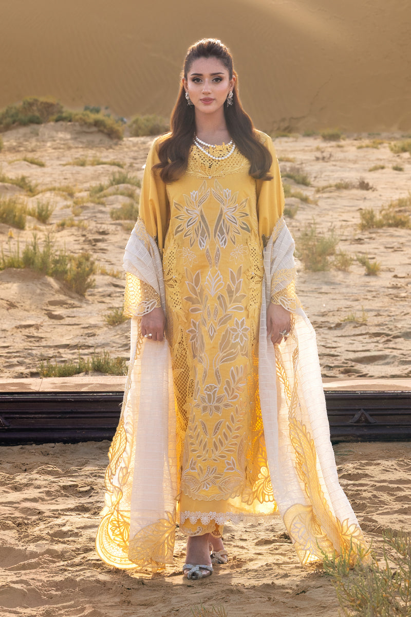 Rang Rasiya Premium Summer Collection '26