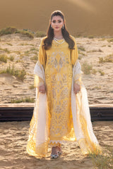 Rang Rasiya Premium Summer Collection '26