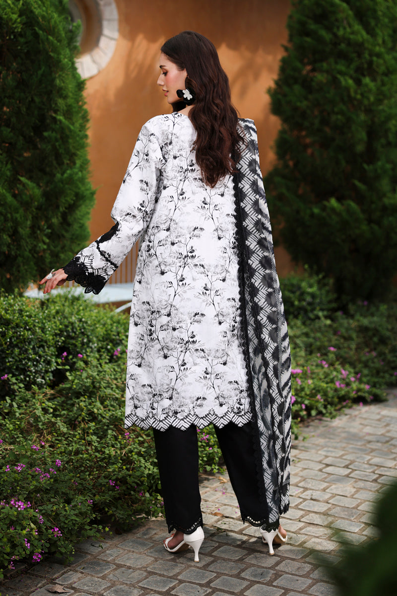 Lifestyle Summer Collection 2026