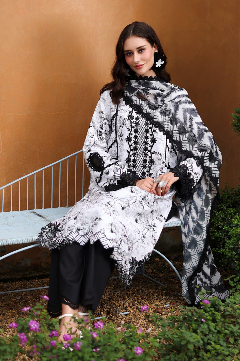 Lifestyle Summer Collection 2026