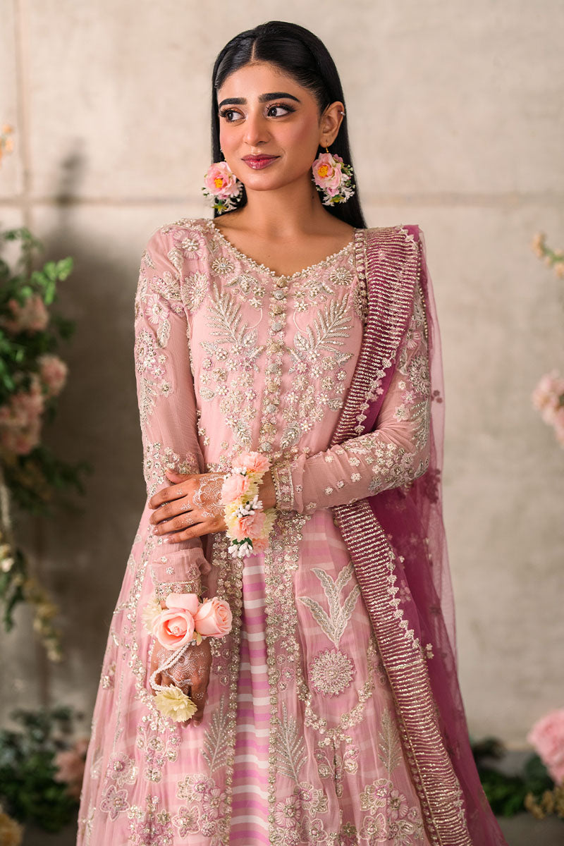 Mastani Evening Luxury Chiffon Collection By Mushq  Maisha