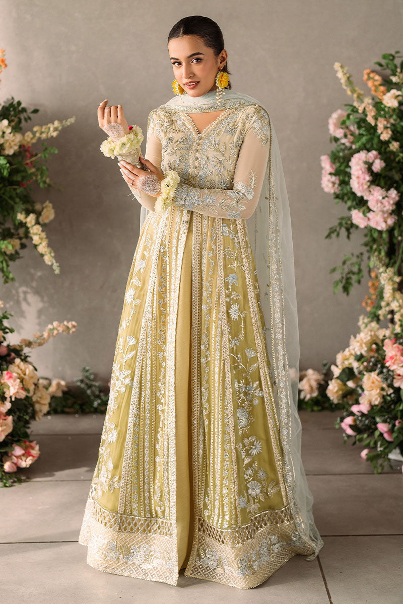 Mastani Evening Luxury Chiffon Collection By Mushq Hira