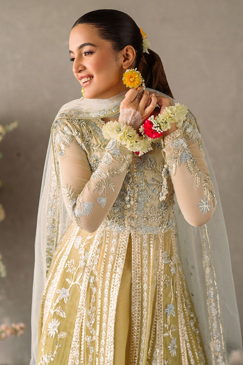 Mastani Evening Luxury Chiffon Collection By Mushq Hira