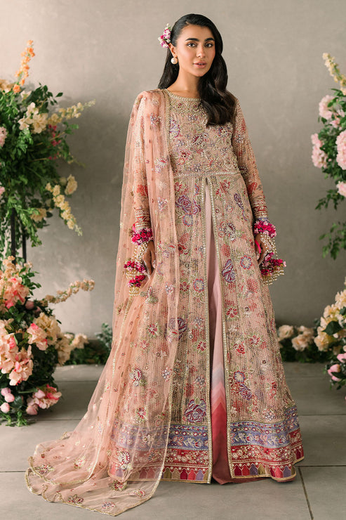 Mastani Evening Luxury Chiffon Collection By Mushq Sona