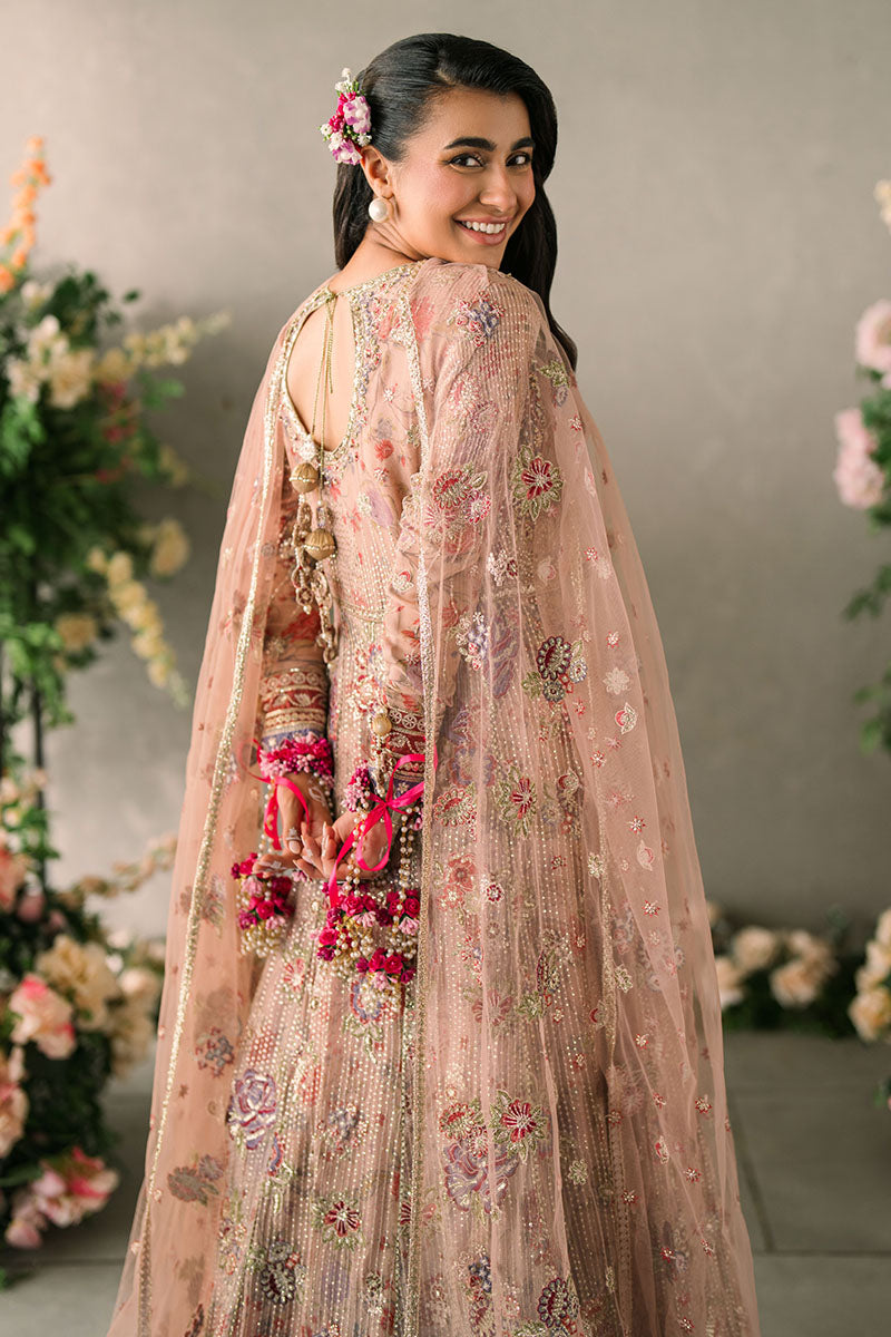 Mastani Evening Luxury Chiffon Collection By Mushq Sona