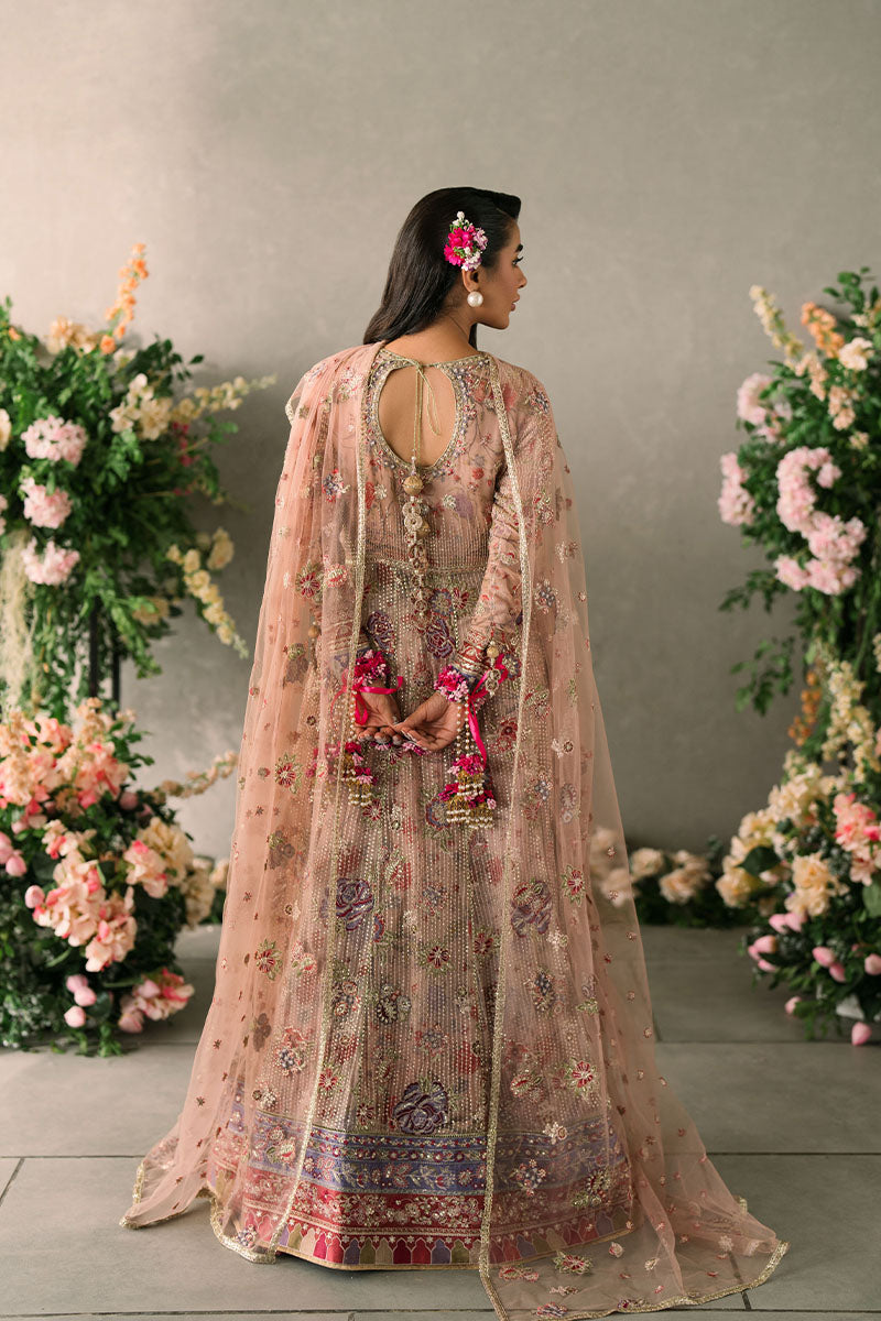 Mastani Evening Luxury Chiffon Collection By Mushq Sona