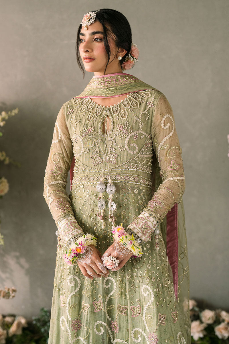 Mastani Evening Luxury Chiffon Collection By Mushq Namar