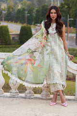 Mushq Luxury Lawn Collection 24' (12)