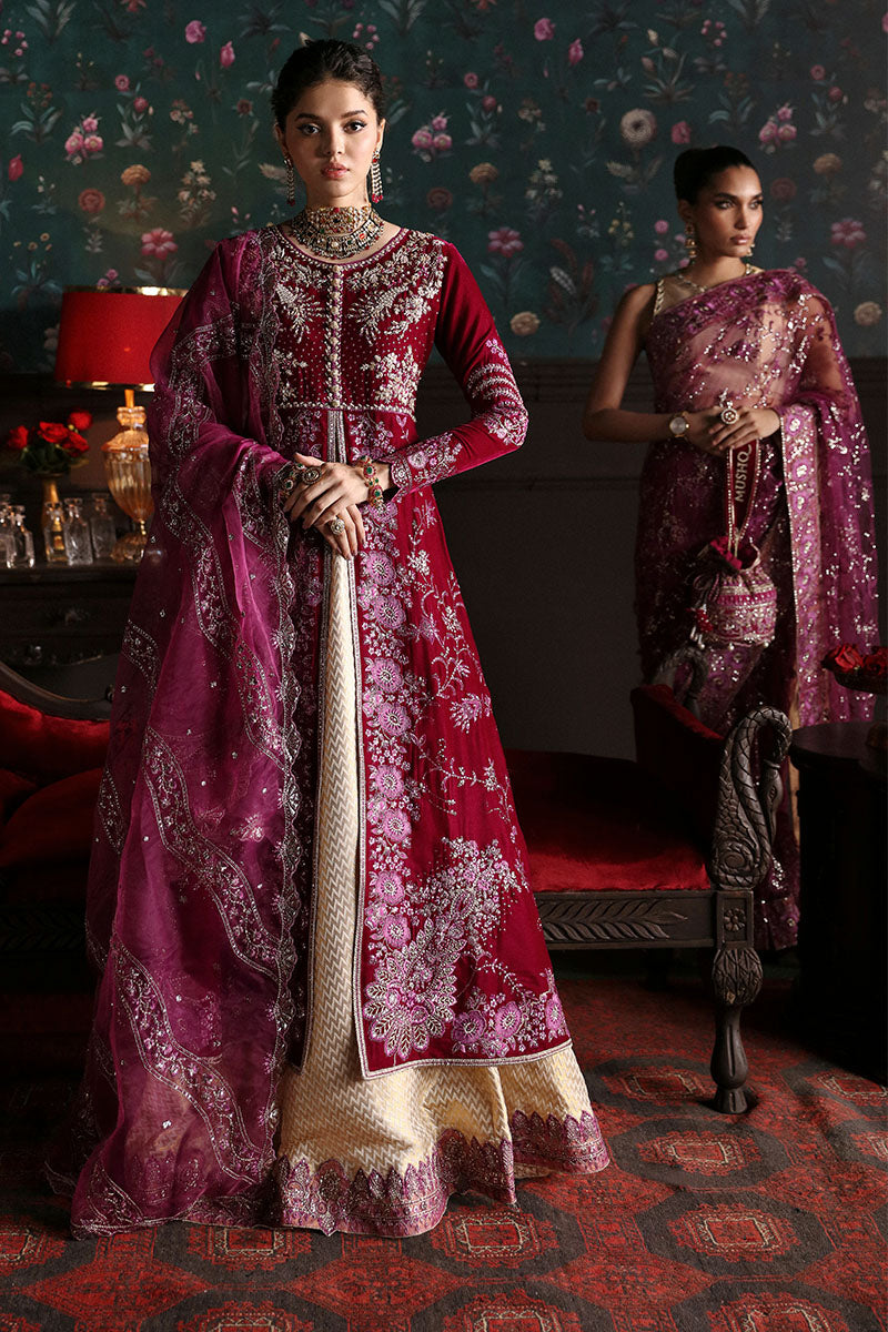 Mushq Niloufer Embroidered Velvet Collection 06