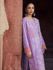 Rajbari Premium Chikankari Autumn / Winter