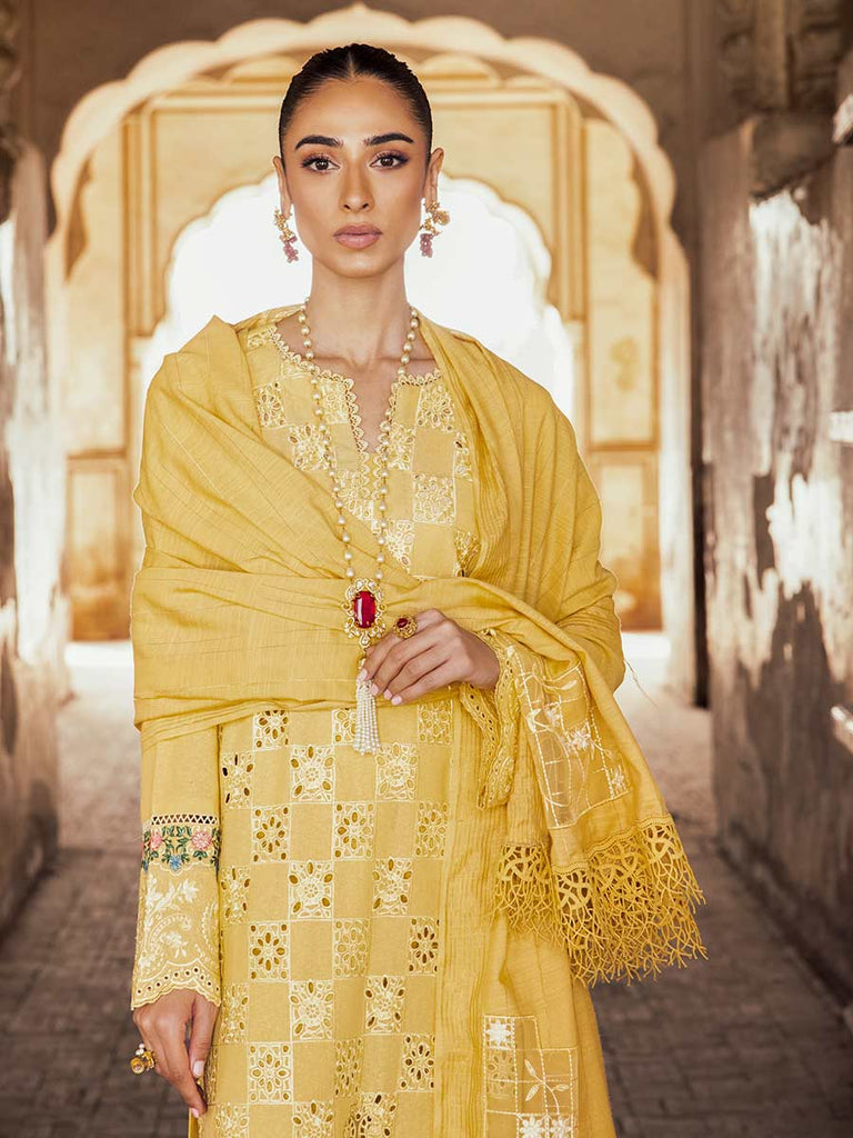 Rajbari Premium Chikankari Autumn / Winter