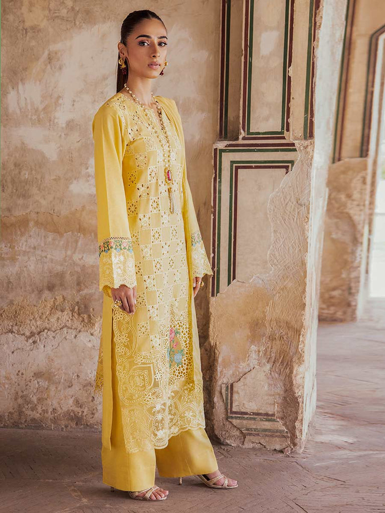Rajbari Premium Chikankari Autumn / Winter