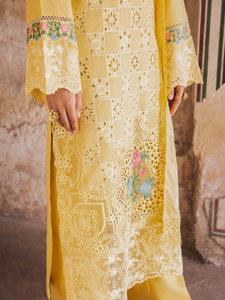 Rajbari Premium Chikankari Autumn / Winter
