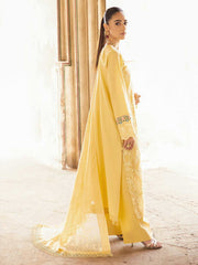 Rajbari Premium Chikankari Autumn / Winter