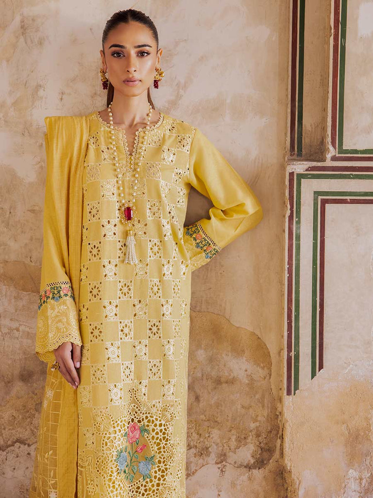Rajbari Premium Chikankari Autumn / Winter
