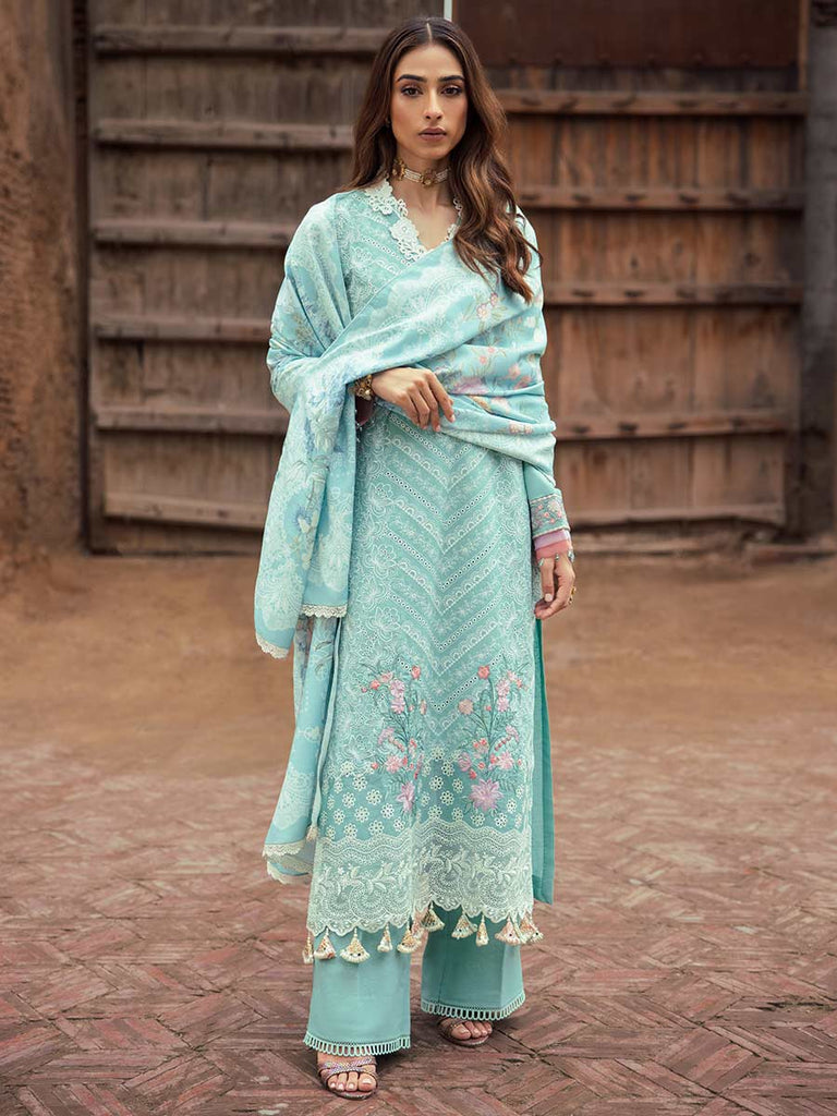 Rajbari Premium Chikankari Autumn / Winter