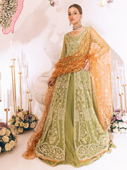 Roheenaz Sawariya Luxury Kalidaar Chiffon