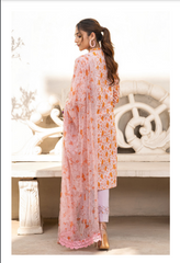 Al Zohaib Sunshine Bloom