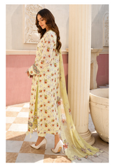 Al Zohaib Sunshine Bloom