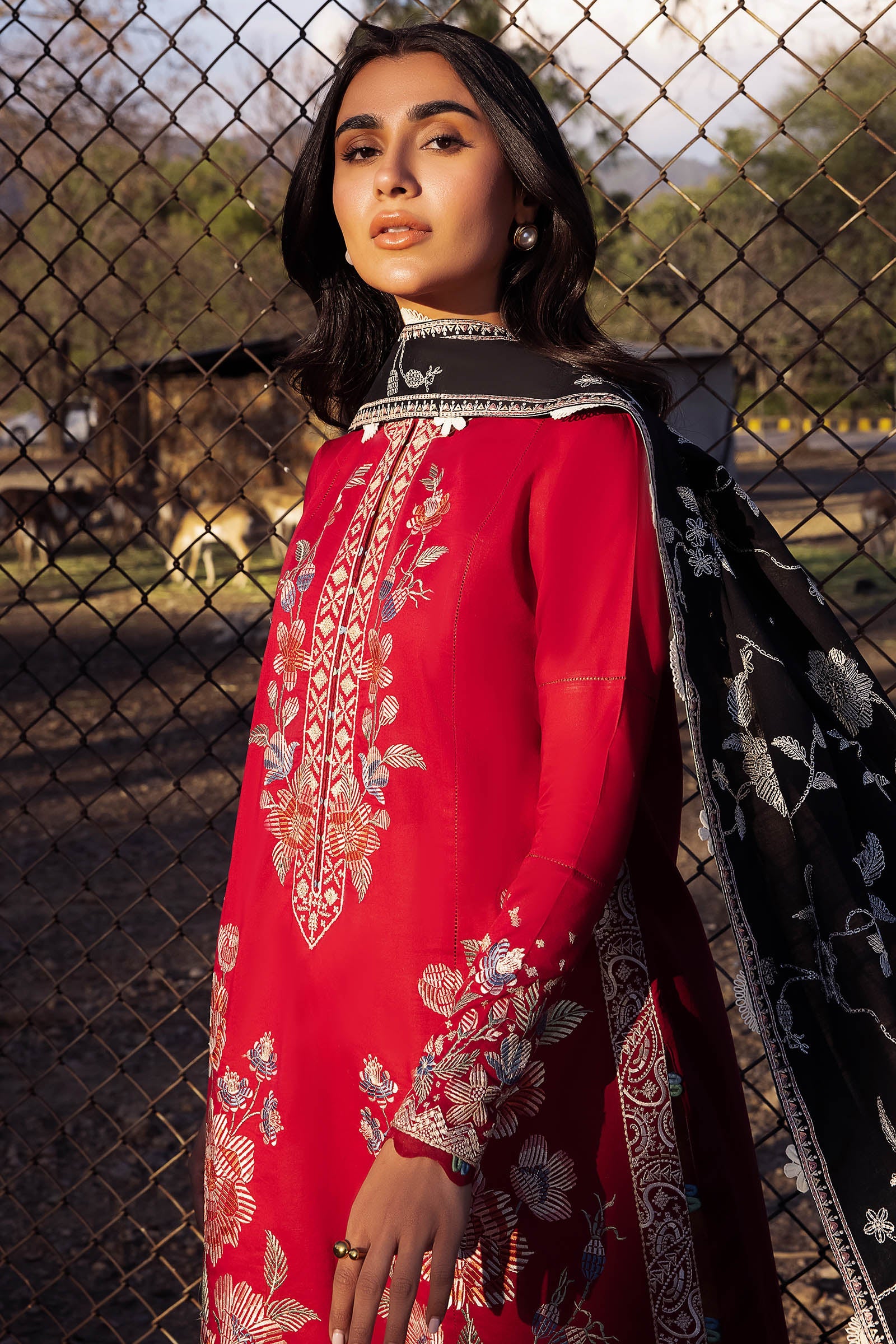 Zaha Embroidered Lawn Collection 24' (14A)