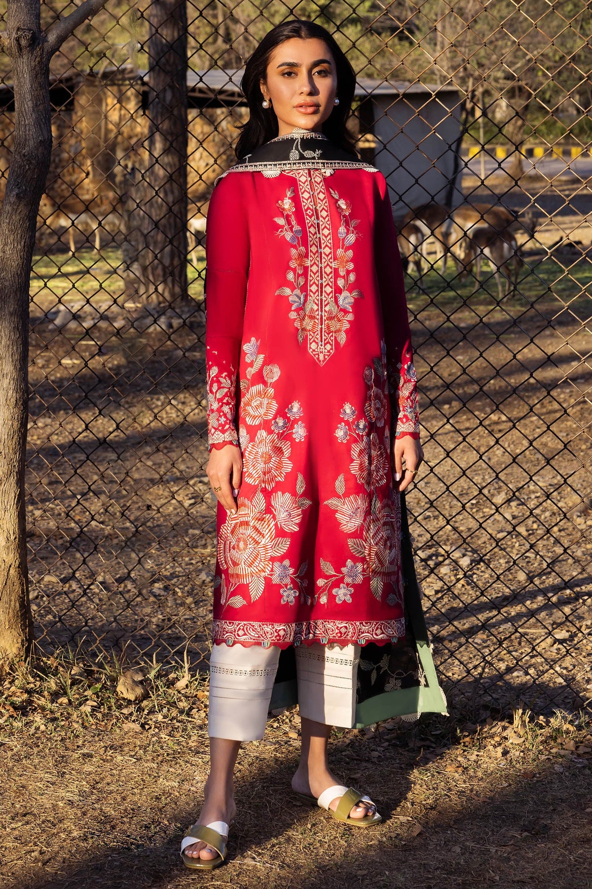 Zaha Embroidered Lawn Collection 24' (14A)