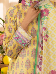 Zellbury Summer 2 PC Printed Lawn Collection