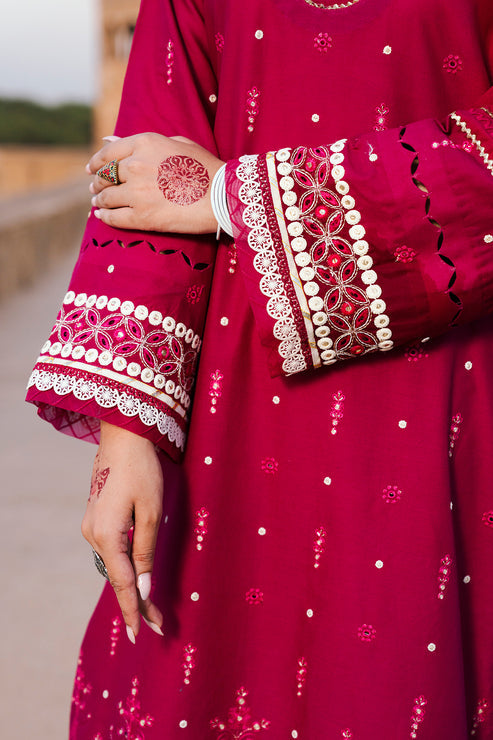 Zellbury Unstitched Chikankari Lawn 25