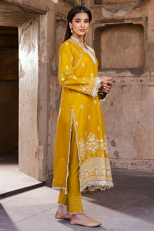 Zellbury Unstitched Chikankari Lawn 25