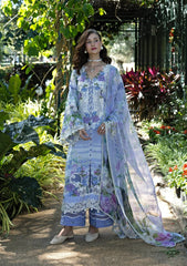 ELAF SIGNATURE - EMBROIDERED COLLECTION '26