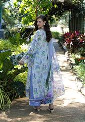 ELAF SIGNATURE - EMBROIDERED COLLECTION '26