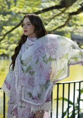 ELAF SIGNATURE - EMBROIDERED COLLECTION '26