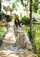 ELAF SIGNATURE - EMBROIDERED COLLECTION '26