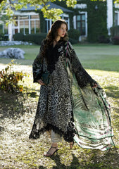 ELAF SIGNATURE - EMBROIDERED COLLECTION '26