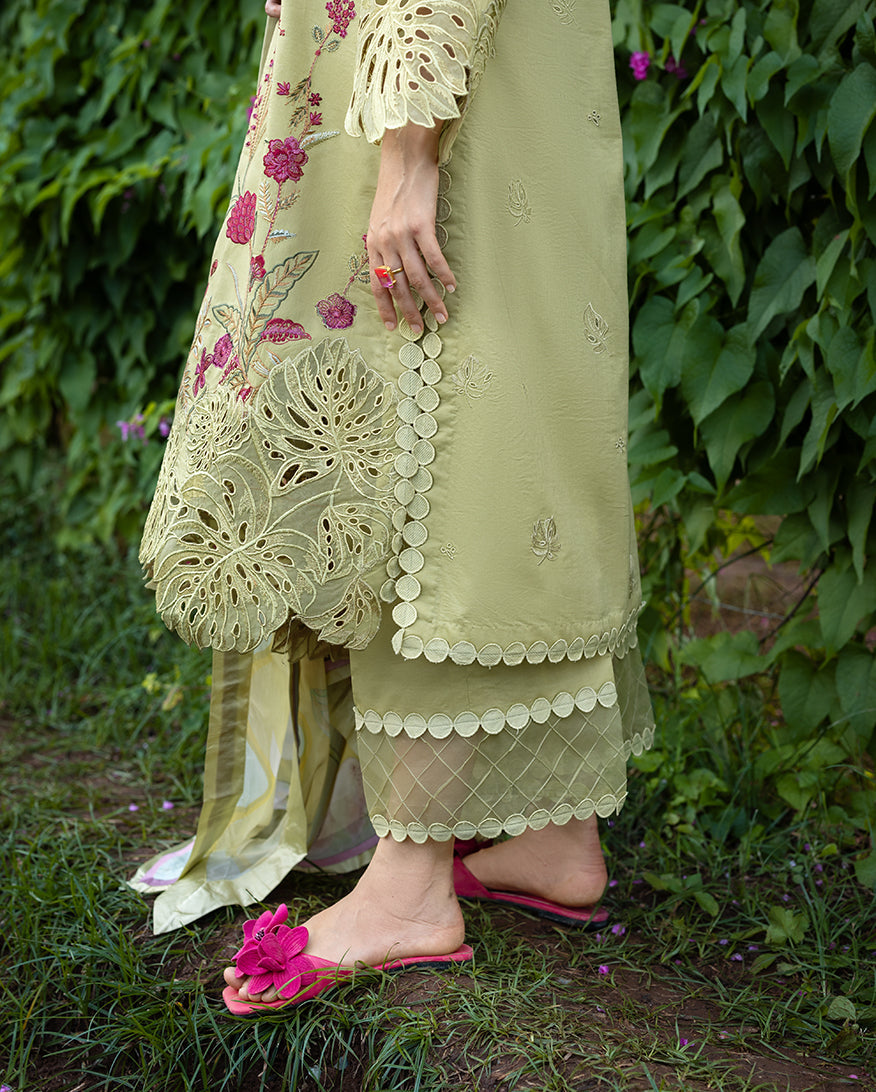 The Secret Garden Lawn Collection By Mushq 26