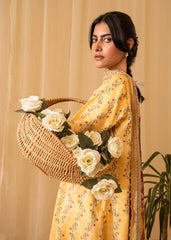 IZABEL AABYAAN PRINTS | LINEN EDIT'24