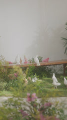 Festive Edition Lawn '25 By Iznik