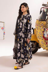 Alizeh Sheen Prints Collection '24 (02)