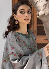 Jahanara Embroidered Slub Winter Collection By IZNIK 04