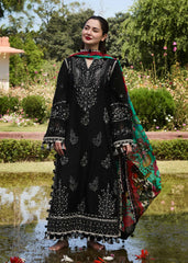 Hussain Rehar Embroidered Prints Lawn Collection 24 (Rave)