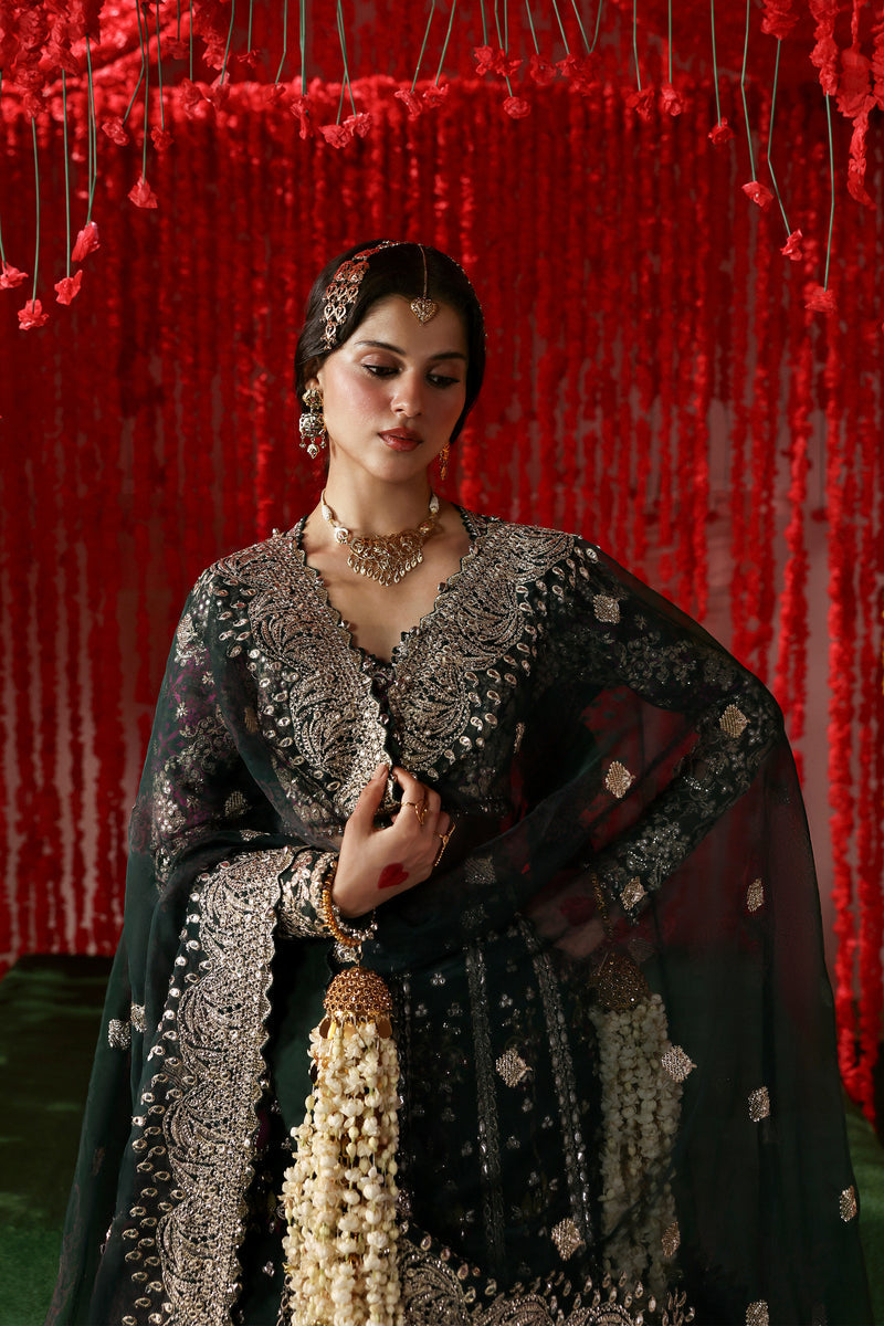 AFROZEH SHEHNAI WEDDING FORMALS'25