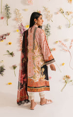 Asifa & Nabeel Meraki Summer Lawn