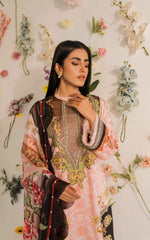 Asifa & Nabeel Meraki Summer Lawn