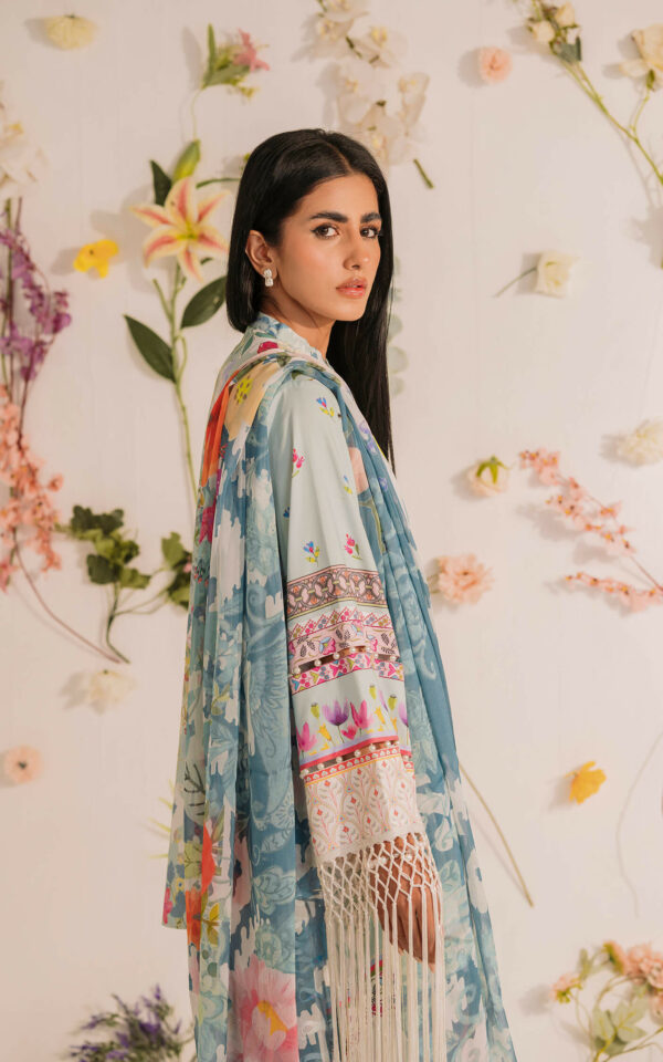 Asifa & Nabeel Meraki Summer Lawn