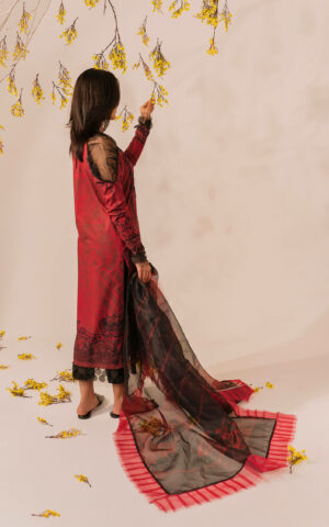 Asifa & Nabeel Meraki Summer Lawn