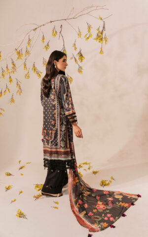 Asifa & Nabeel Meraki Summer Lawn