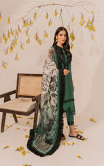 Asifa & Nabeel Meraki Summer Lawn